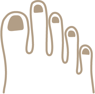 図：ギリシャ型のつま先／人差し指が一番長く、親指と中指がほぼ同じ長さ。次に、薬指、小指の順に短くなっている。
