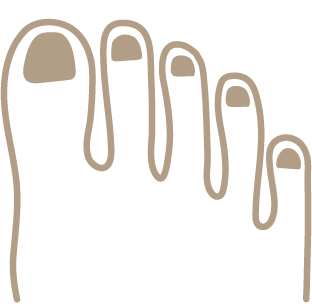 図：ギリシャ型（傾斜がなだらかなタイプ）のつま先／親指と人差し指が同じくらいの長さ。中指から小指に向かって徐々に短くなっている。